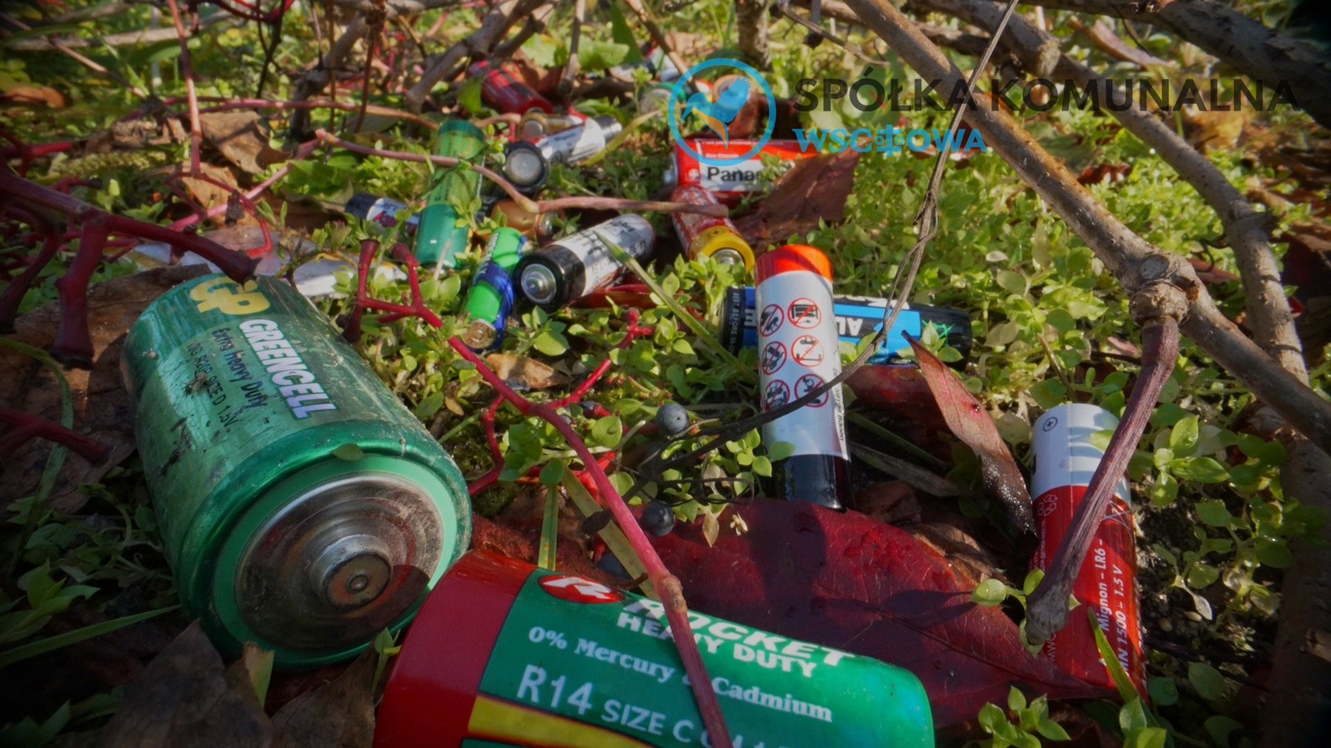 na zdjęciu porzucone zuzyte baterie na trawniku